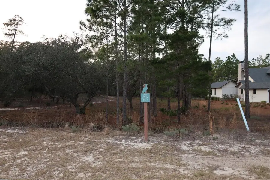 1539 Sharks Tooth Trail, Panama City Beach, FL 32413 - #3