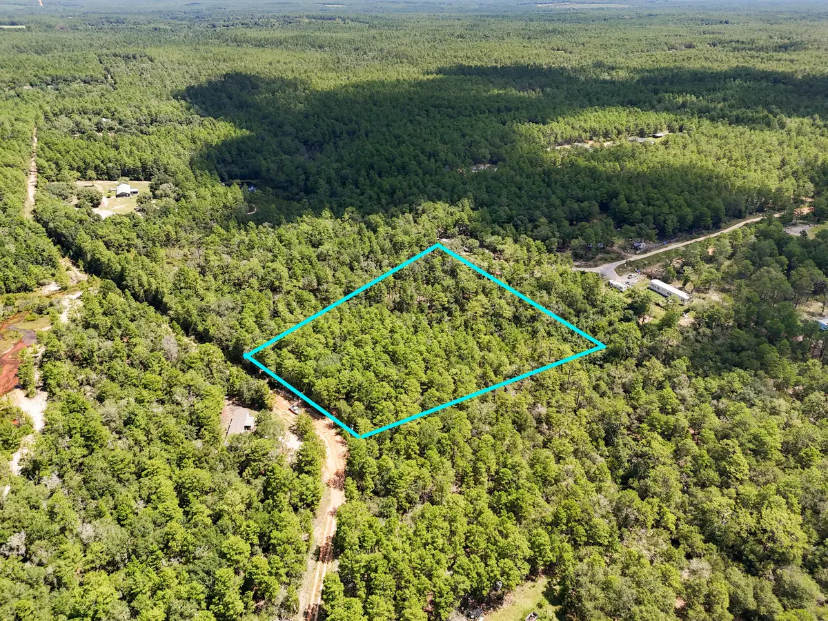 2.84 Acres White Road, Defuniak Springs, FL 32433 - #1