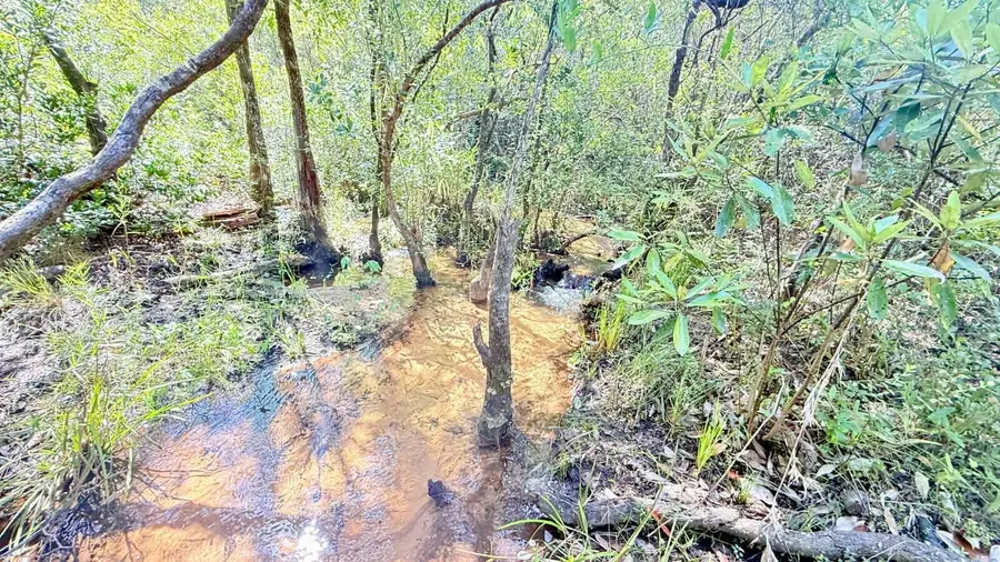 2.84 Acres White Road, Defuniak Springs, FL 32433 - #3