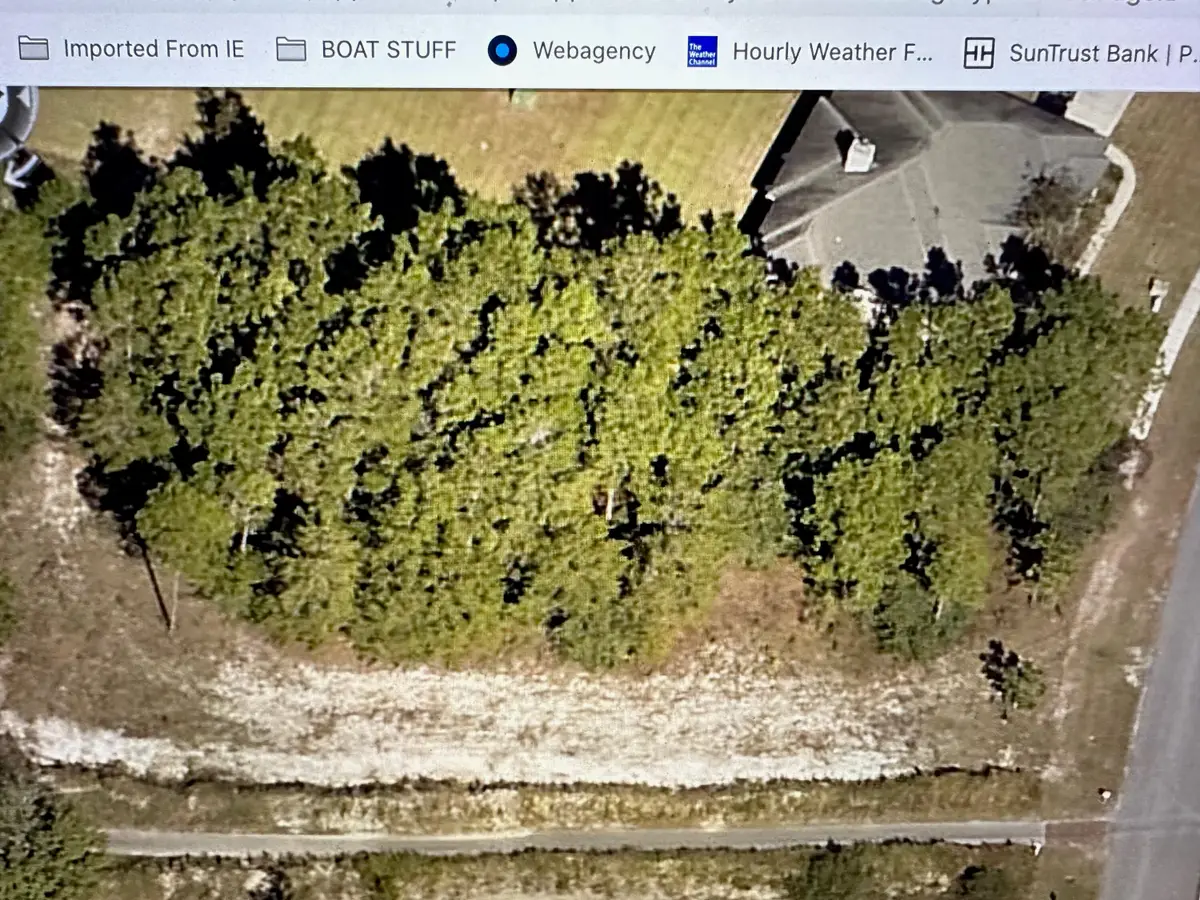 629 W Club House Drive, Freeport, FL 32439 - #1