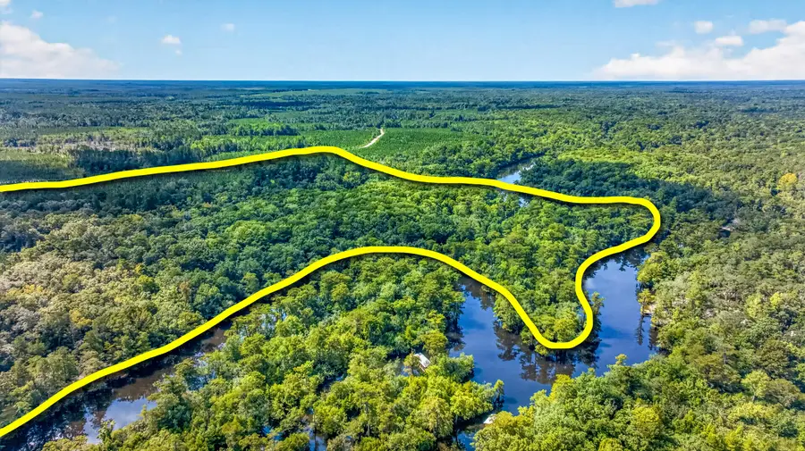 19 Acres Potter Spring Road, Vernon, FL 32462 - #2