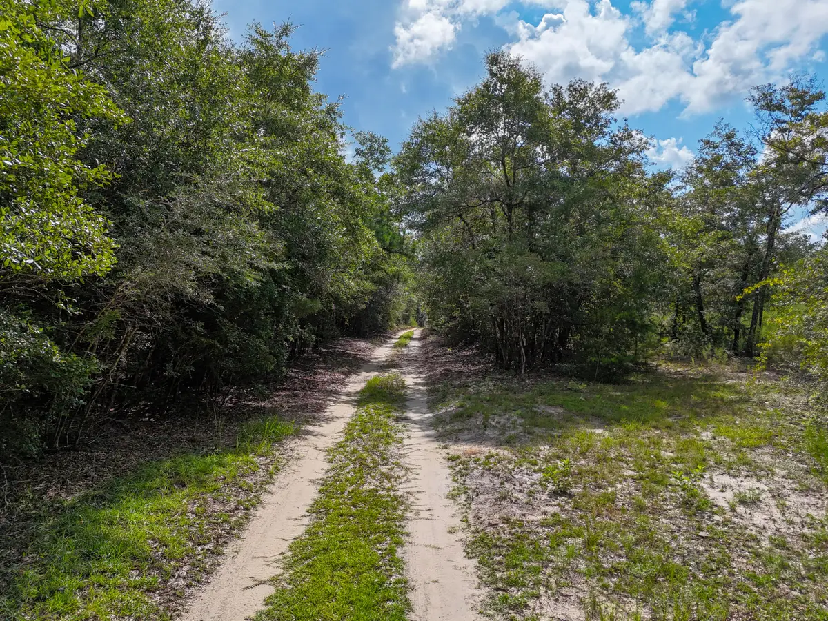40 Acres Mossy Bend Road, Ponce De Leon, FL 32455 - #1