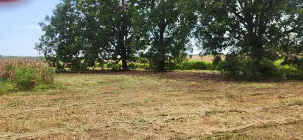 6584 E State Highway 2, Westville, FL 32464