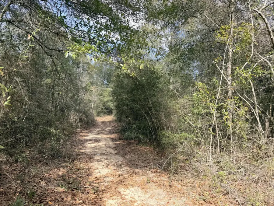 0.56 Christopher Lane, Crestview, FL 32539 - #3