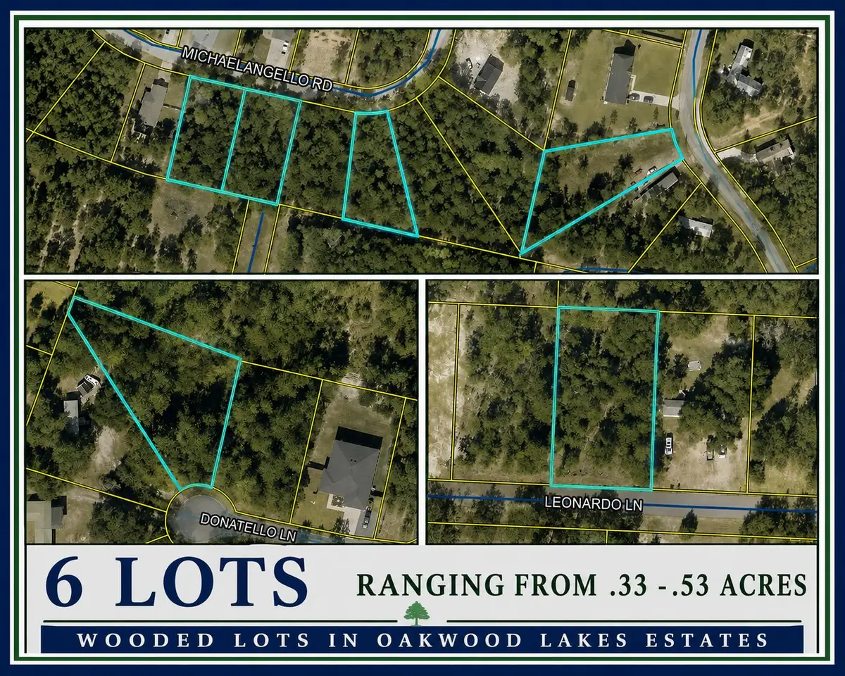 XX Leonardo Lane, Defuniak Springs, FL 32433 - #1
