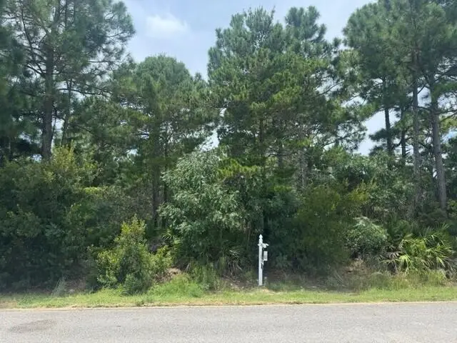 0000 Driftwood Point Road, Santa Rosa Beach, FL 32459 - #2