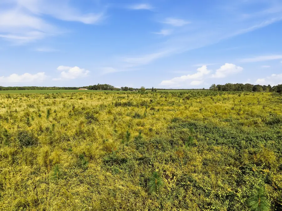 10 Acres C Davidson Road, Defuniak Springs, FL 32433 - #2