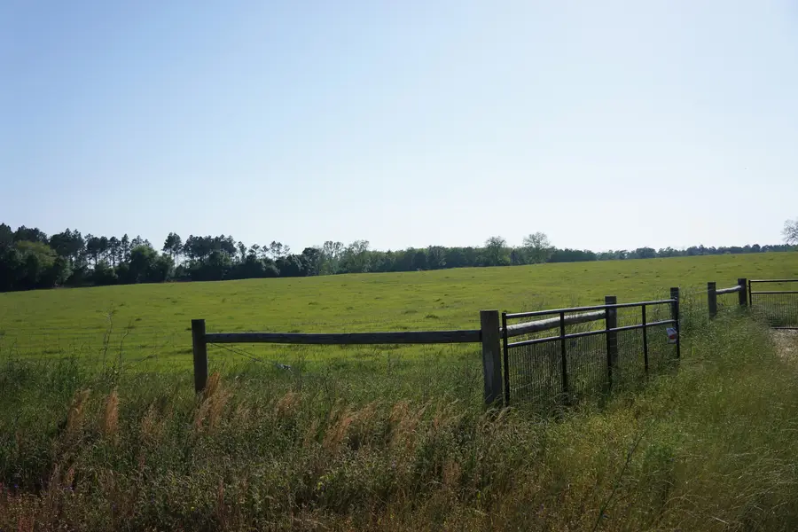 7784 Hwy 393, Laurel Hill, FL 32567 - #2