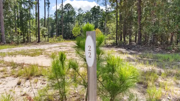 Lot 22 W Captain Fritz Way, Freeport, FL 32439
