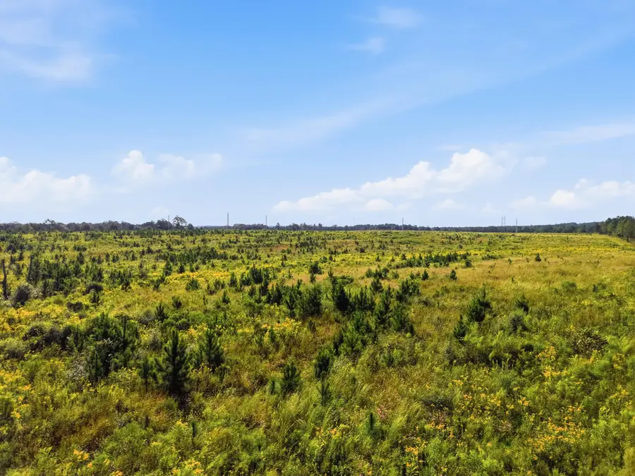 10 Acres H Davidson Road, Defuniak Springs, FL 32433 - #2