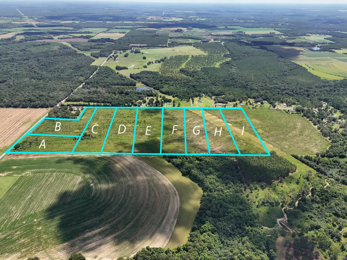 10 Acres I Davidson Road, Defuniak Springs, FL 32433 - #1
