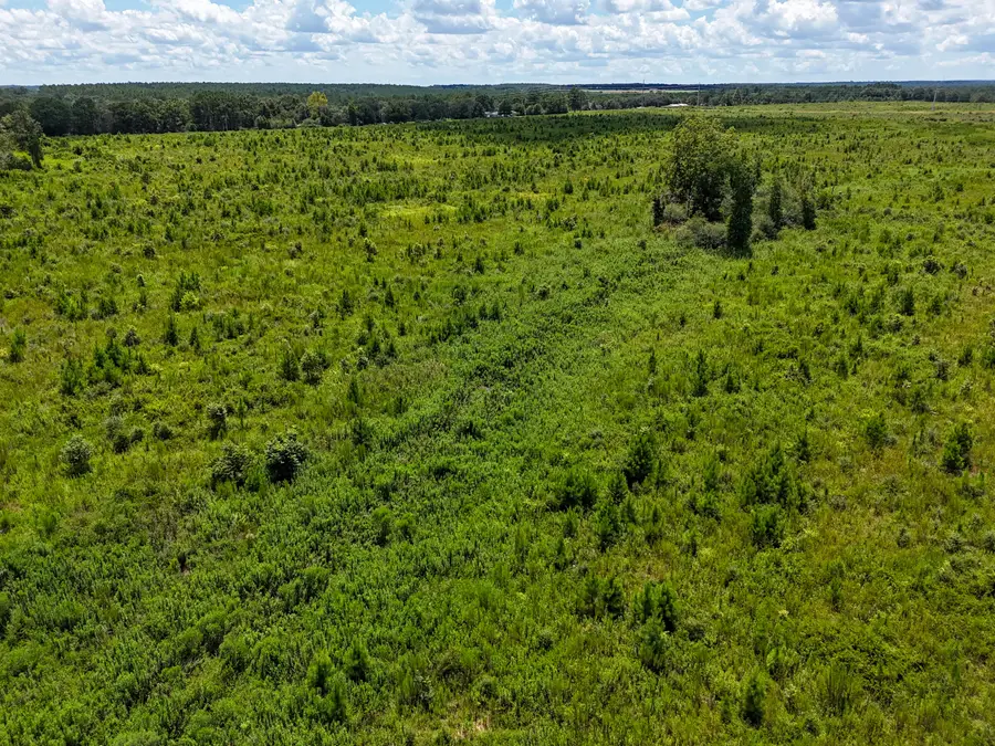 10 Acres I Davidson Road, Defuniak Springs, FL 32433 - #3