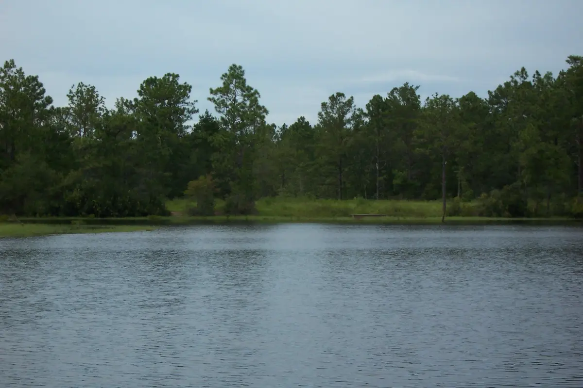 141 Silk Oak Drive, Defuniak Springs, FL 32433 - #1