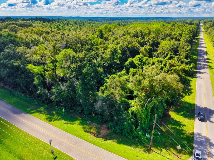 TBD Long Road, Laurel Hill, FL 32567 - #3