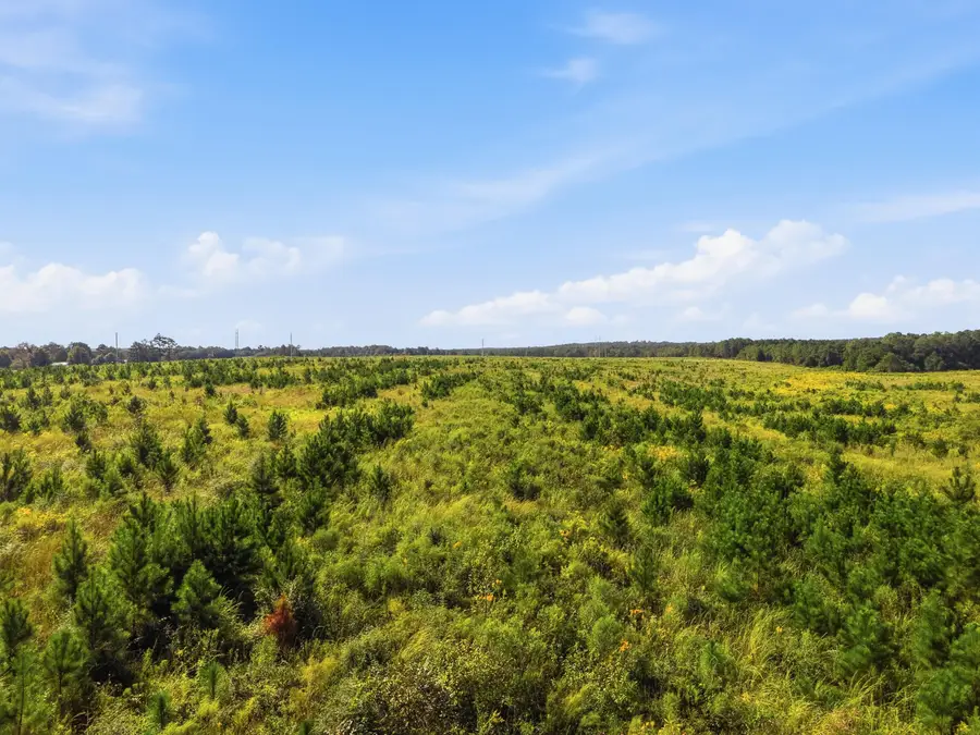 10 Acres B Co Hwy 2a Road, Defuniak Springs, FL 32433 - #2