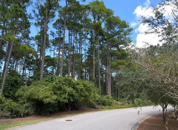 Lot 1 Cox Road, Santa Rosa Beach, FL 32459