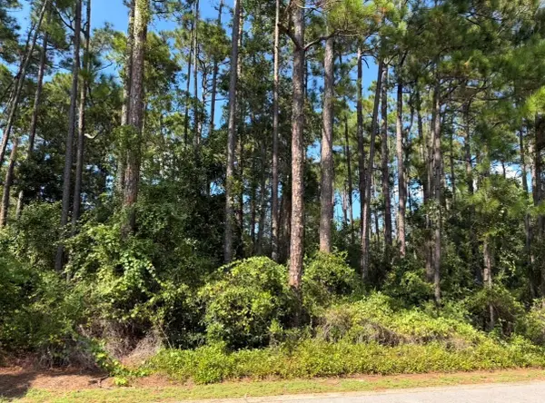 Lot 2 Cox Road, Santa Rosa Beach, FL 32459
