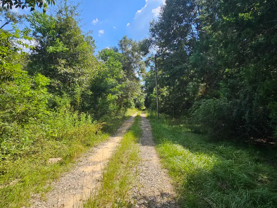 3853 Chicago Avenue, Laurel Hill, FL 32567 - #3