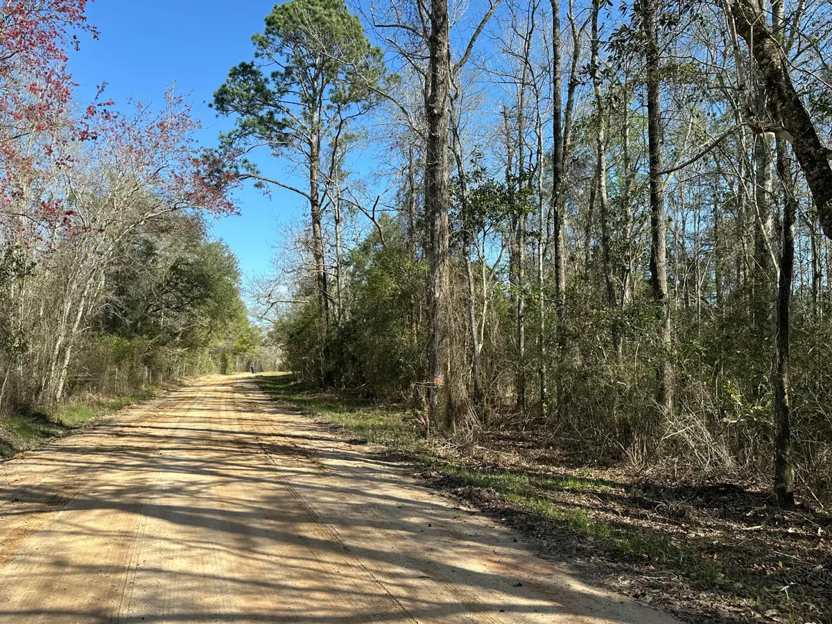Tract#6317 N Harris Stevenson Road, Bonifay, FL 32425 - #1