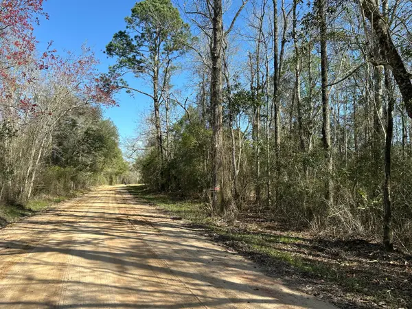 Tract#6317 N Harris Stevenson Road, Bonifay, FL 32425