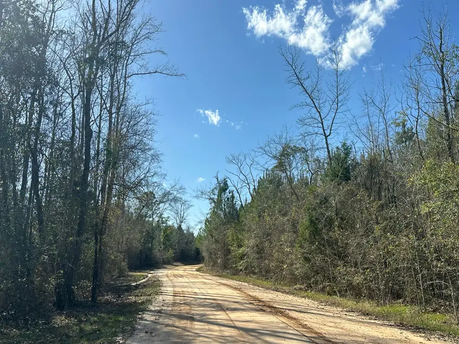 Tract#6317 S Harris Stevenson Road, Bonifay, FL 32425 - #3