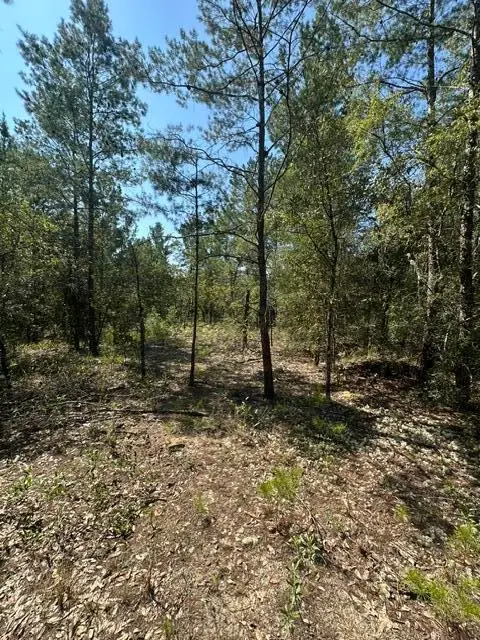 lot 4 & 5 E Buckeye Street, DeFuniak Springs, FL 32433