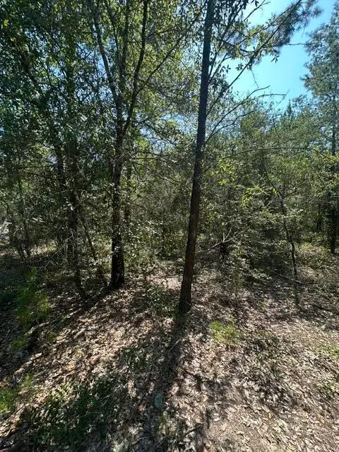 lot 4 & 5 E Buckeye Street, Defuniak Springs, FL 32433 - #2