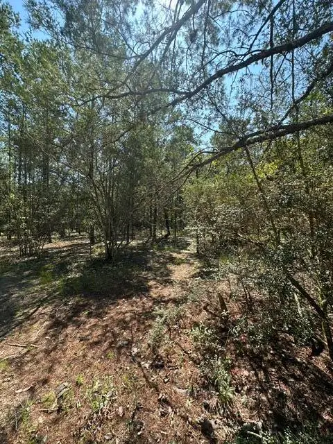 lot 4 & 5 E Buckeye Street, Defuniak Springs, FL 32433 - #3