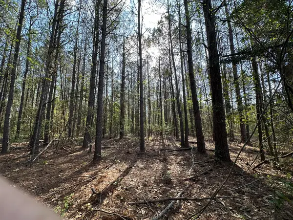 33.66+/-AC Snyder Avenue, Other, AL 00N/A