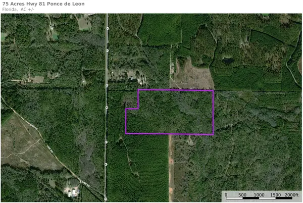 75 Acres N Florida 81, Ponce De Leon, FL 32455