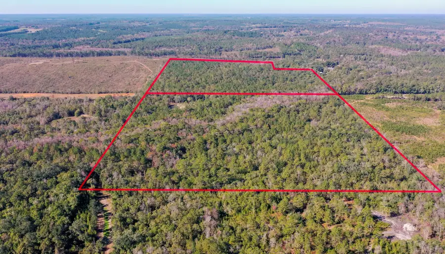 75 Acres N Florida 81, Ponce De Leon, FL 32455 - #2