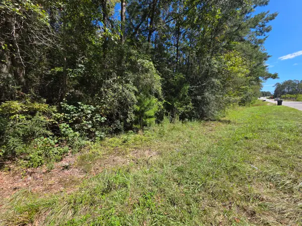 Lot 1 & 2 Antioch Road, Crestview, FL 32536