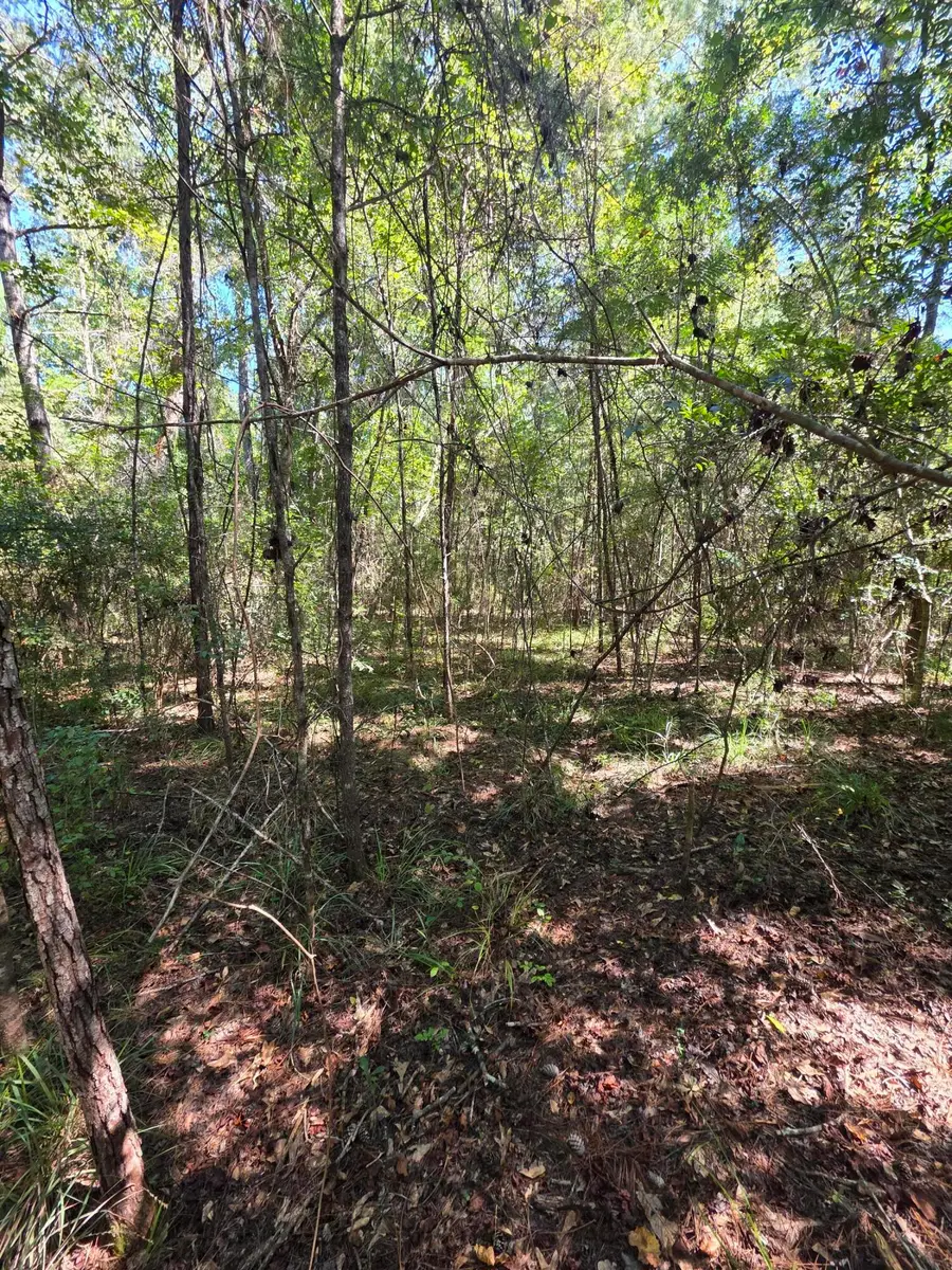 Lot 1 & 2 Antioch Road, Crestview, FL 32536 - #2