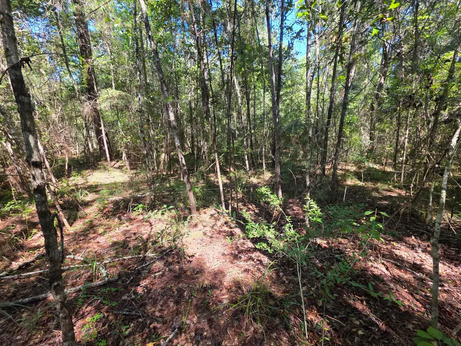 Lot 1 & 2 Antioch Road, Crestview, FL 32536 - #3