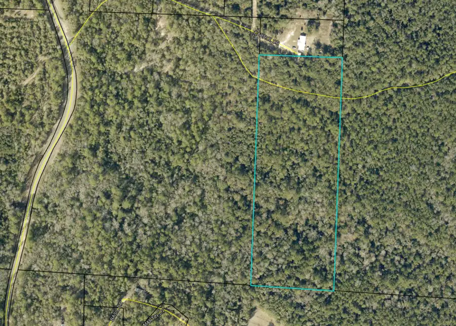 TBD S Carroll Drive, Baker, FL 32531 - #2