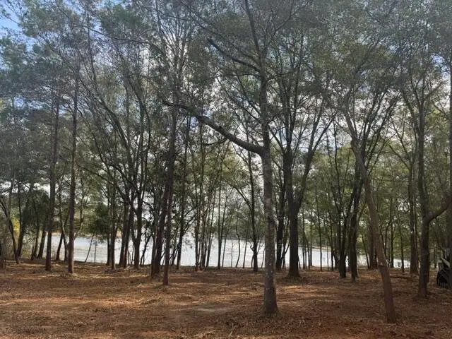 00 Marion Drive #LOT 5 BLK 16, Defuniak Springs, FL 32433 - #1