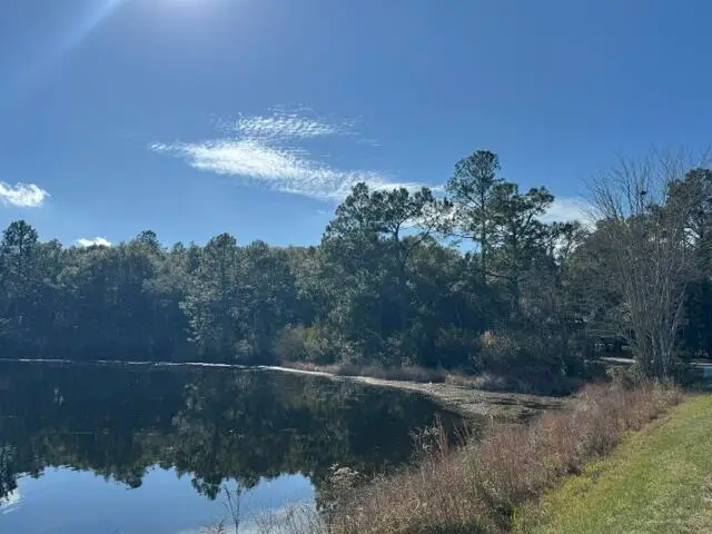 00 Marion Drive #LOT 5 BLK 16, Defuniak Springs, FL 32433 - #2