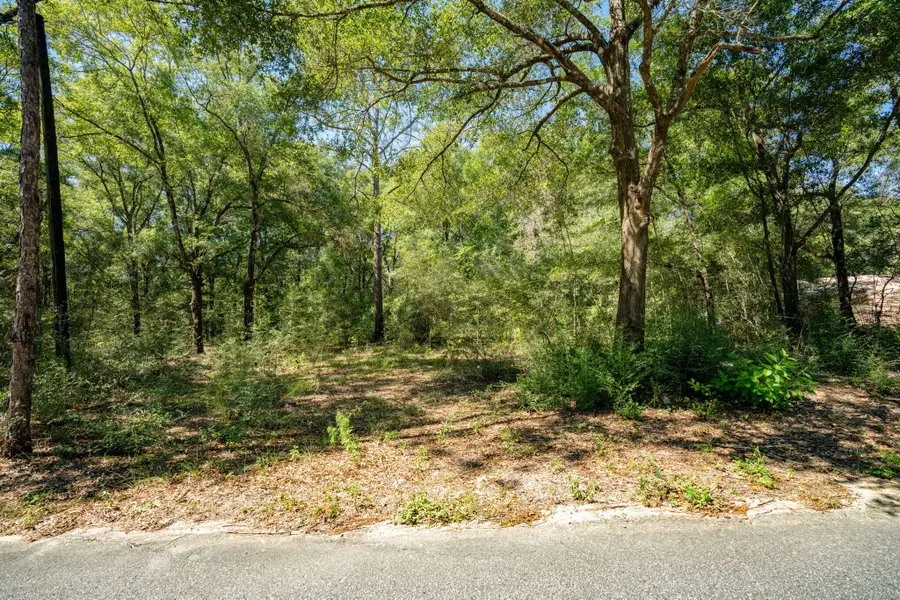 1361 N 1st Street, Defuniak Springs, FL 32433 - #2