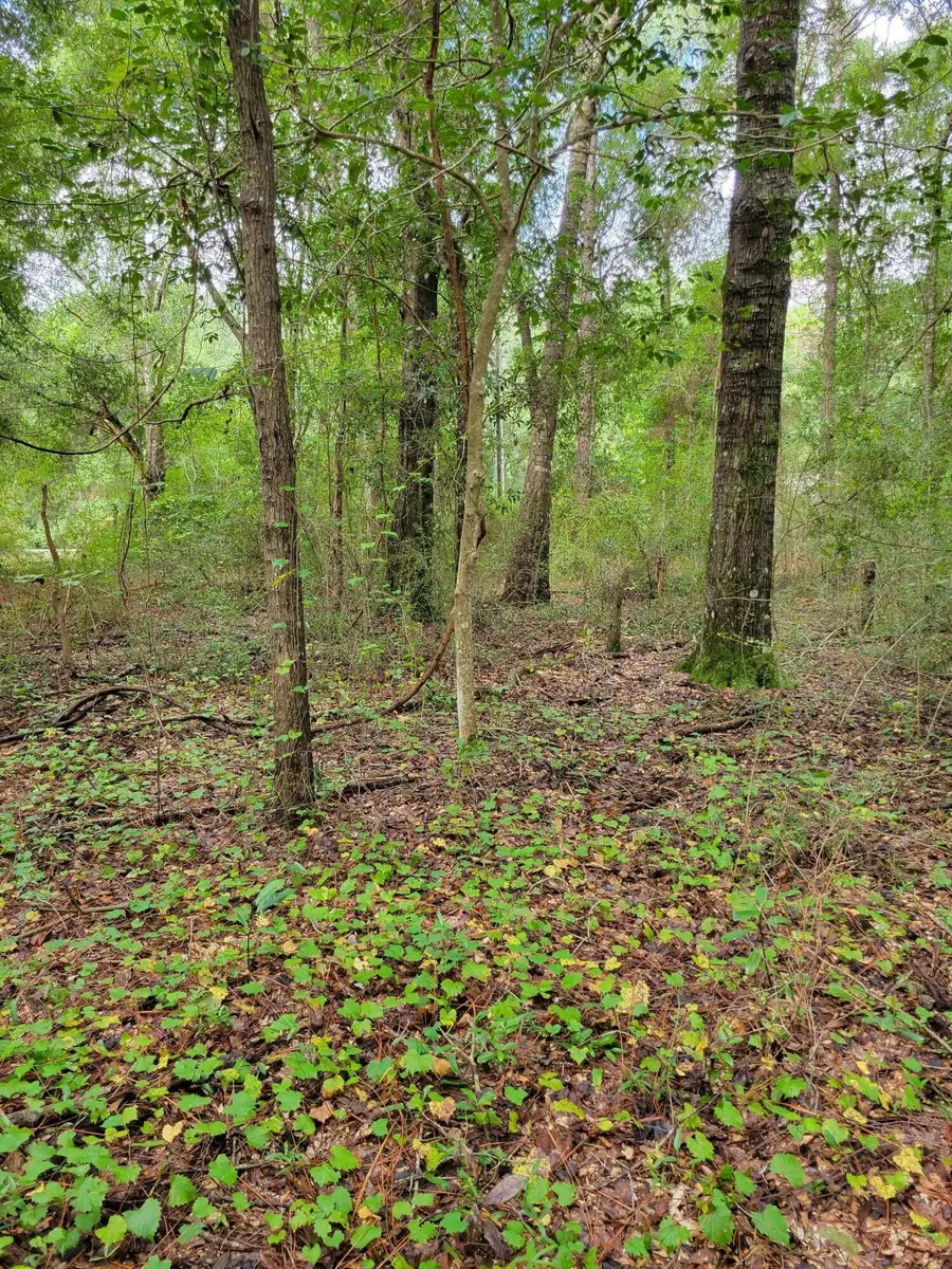 204 Shell Drive, Crestview, FL 32536 - #2