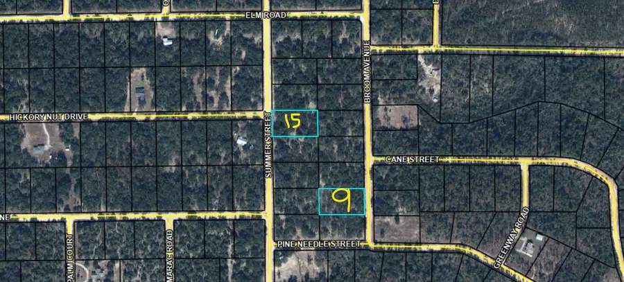 Lot 15 Broom Avenue, Marianna, FL 32448 - #2
