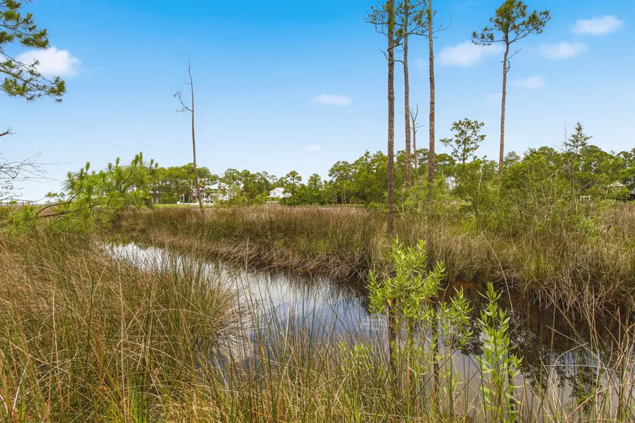 63 Gammage Street, Santa Rosa Beach, FL 32459 - #2