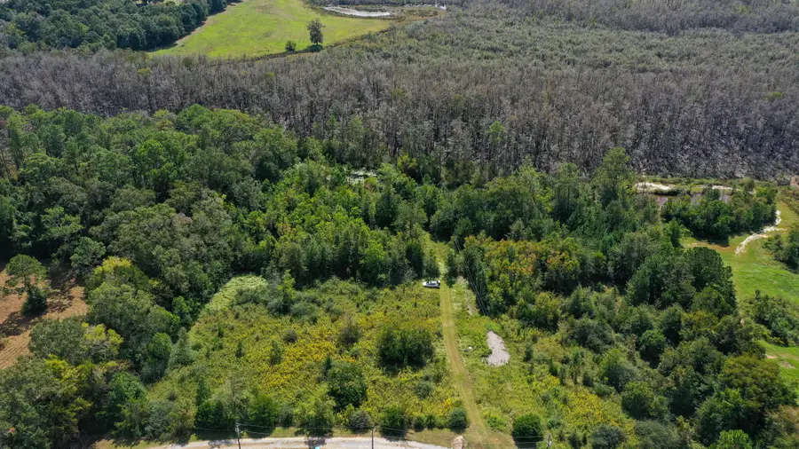 0000 Windy Lewis Road, Bonifay, FL 32425 - #2