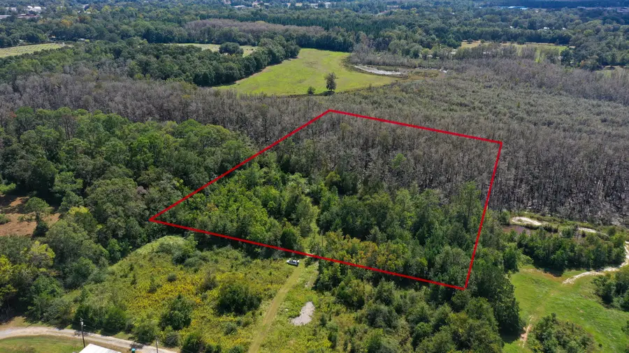 0000 Windy Lewis Road, Bonifay, FL 32425 - #3