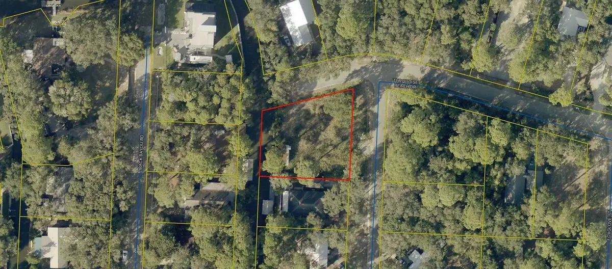 141 Turquoise Bch Drive, Santa Rosa Beach, FL 32459 - #1