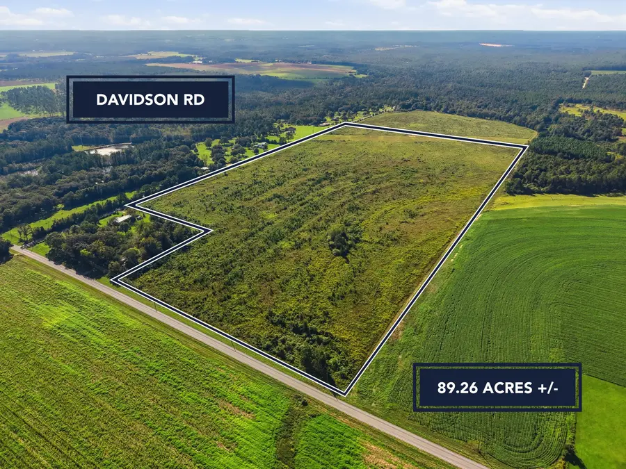 89.6 Acres Co Hwy 2a Road, Defuniak Springs, FL 32433 - #2