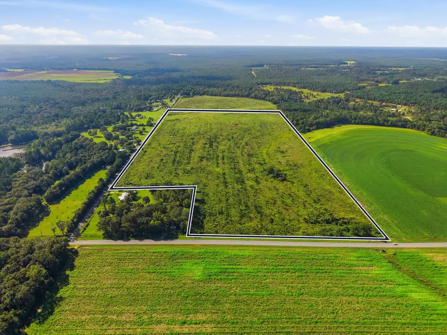 89.6 Acres Co Hwy 2a Road, Defuniak Springs, FL 32433 - #3