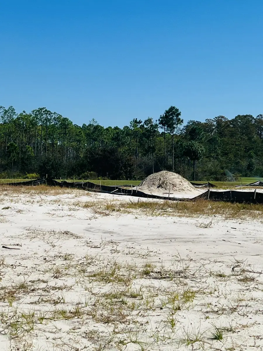 Lot 155 N Southern Cross Lane, Inlet Beach, FL 32461 - #3