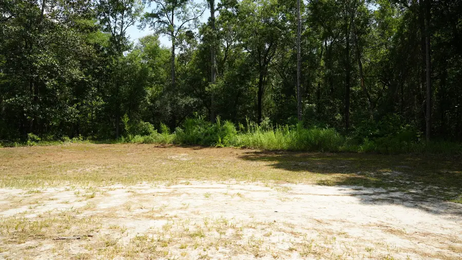 107 Canary Drive, Freeport, FL 32439 - #2