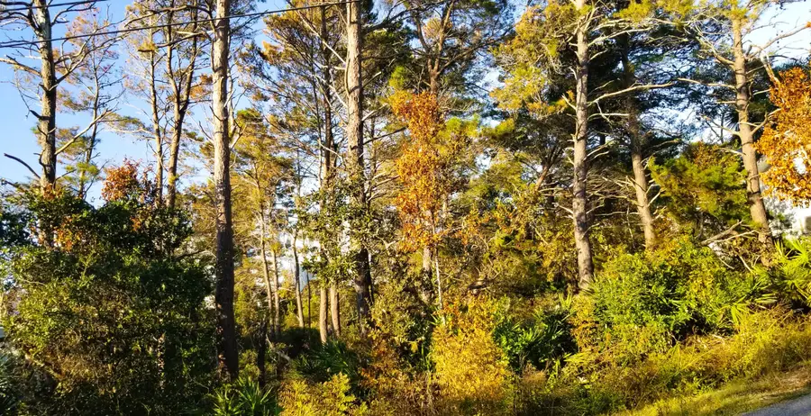 Lot 21 Crescent Road #Block C, Santa Rosa Beach, FL 32459 - #3