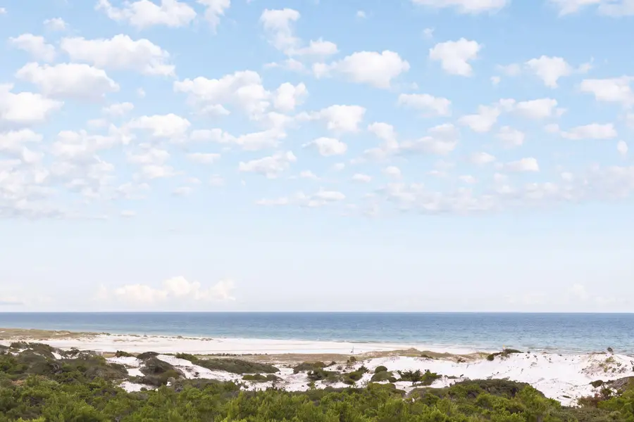 219 Walton Magnolia Lane, Inlet Beach, FL 32461 - #2
